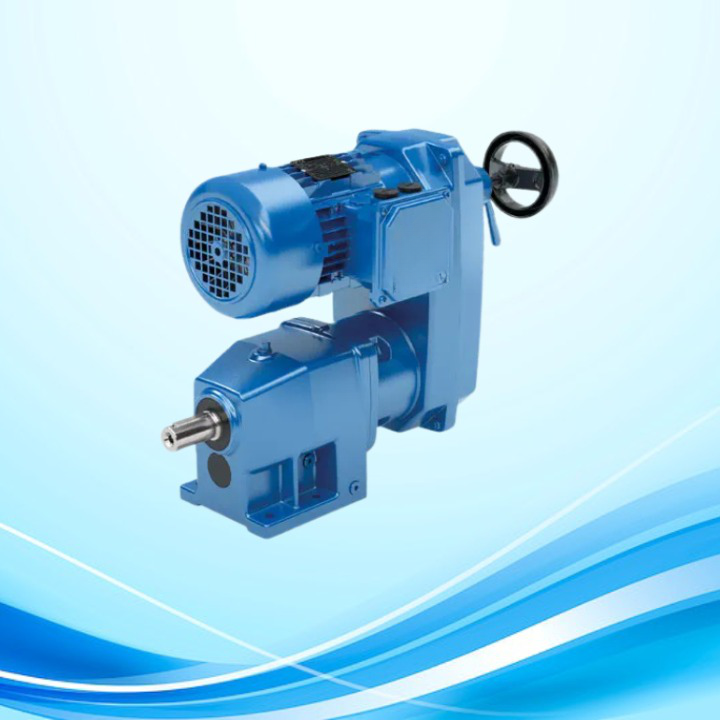 Variable Speed Motors supplier
