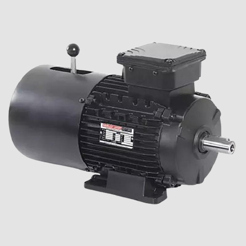 Havells Crane Duty Motors